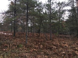 3360 Richardson Road 20 Acres, Mio, MI 48647