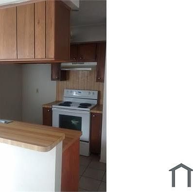 4th image of 12227 Wild Pine Dr