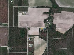 16467 SE John W Yon Ln, Blountstown, FL 32424
