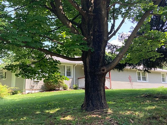 3rd image of 7 Clifford Ct