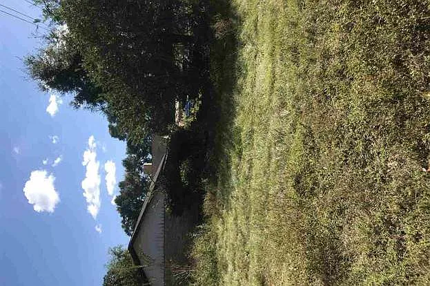 7350 Kipling St — Photo 95