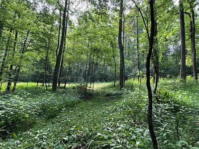 0 Bud West Rd, Boomer, NC, 28606