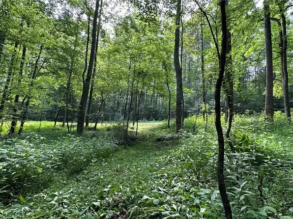 0 Bud West Rd, Boomer, NC 28606