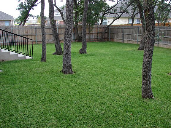 Park like Backyard