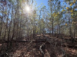 Mamalu Dr, Bastrop, TX 78602