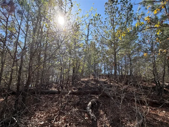 Mamalu Dr, Bastrop, TX 78602