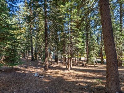 11888 Chamonix Rd, Truckee, CA, 96161