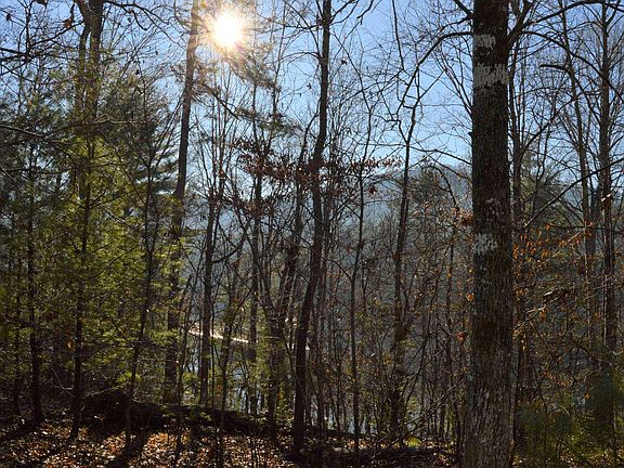 3rd image of 2 Cane Creek Ln