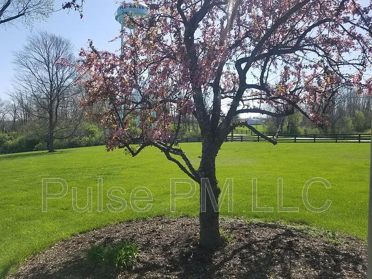 15047B Porter Rd #MUELLER FARM — Photo 18