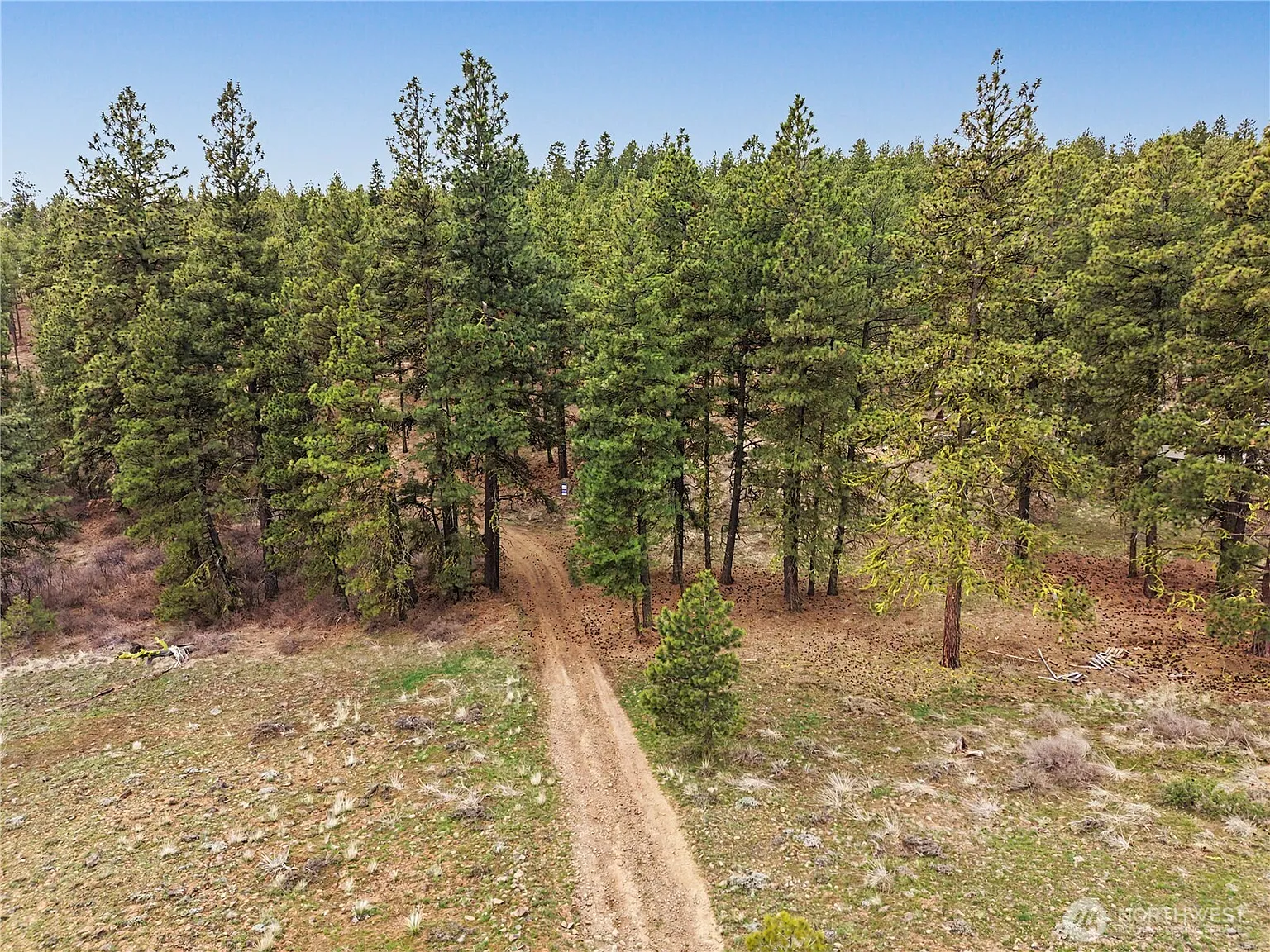 305 Sunrise Way photo 1