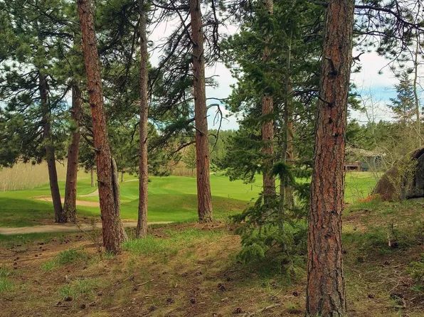 520 Fox Acres Drive W Dr W, Red Feather Lakes, CO 80545