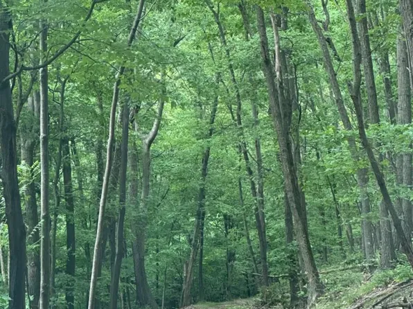 Cherokee Rd, Danville, PA 17821