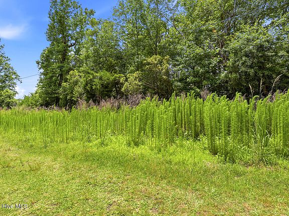 4th image of 230 Bermuda Drive