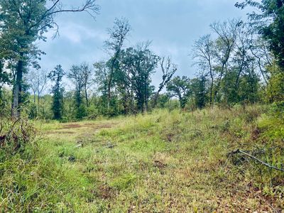 294 E Dade 68, Greenfield, MO, 65661