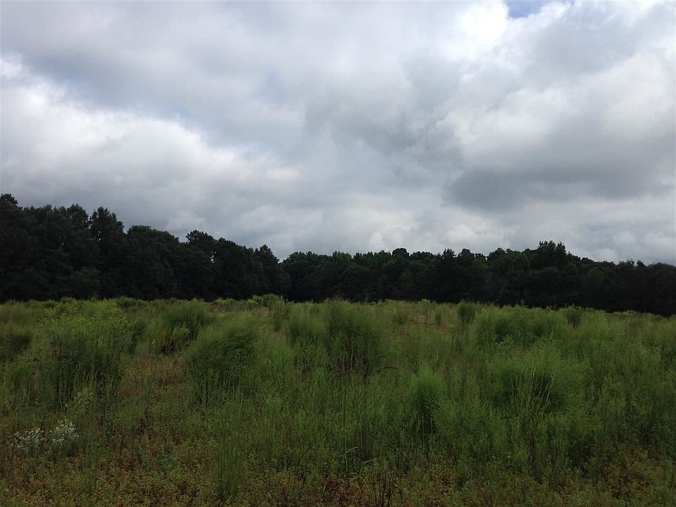 2nd image of 336 Flatwood Dr