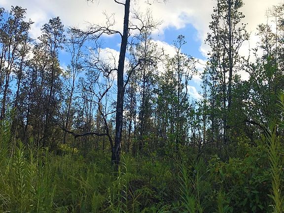 5th image of 16-1658 Road 6 Lot 4198