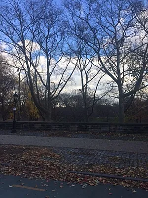 Rented by A D Shaye Realty Group  | media 11