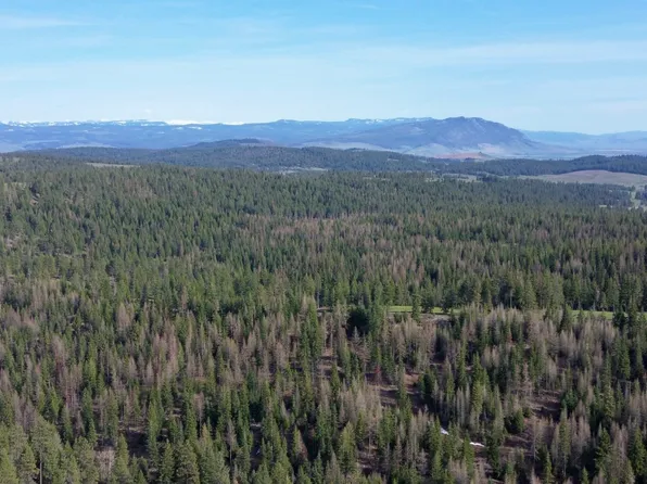 Highway 204, Elgin, OR 97827