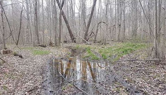 5th image of 6680 E County Road 920 N