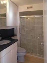 3rd image of 2100 N Lincoln Park W APT 11CS