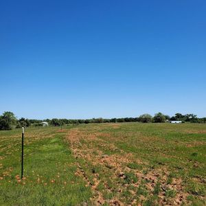 County Road 1480, Chico, TX, 76431