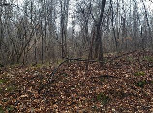 Possum Hollow Rd, Rogersville, TN 37857