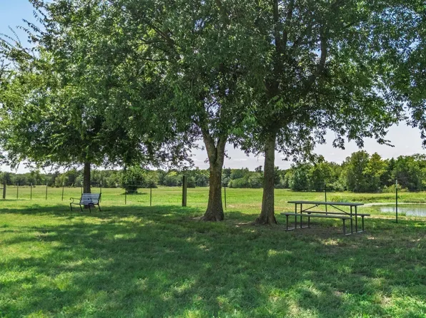 47 Acres Farm Rd #275, Cumby, TX 75433