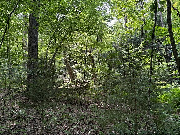 5th image of 25 Ericson Ln