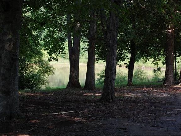 Trees 2