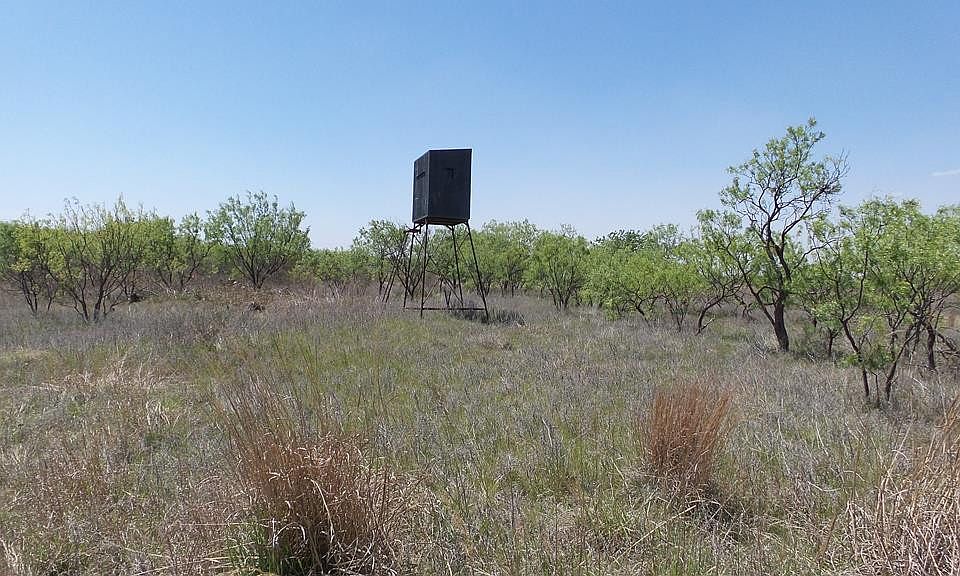 1st image of 0 E County Road 414 #Ab-1134