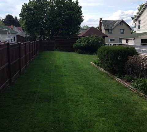 back yard, fence