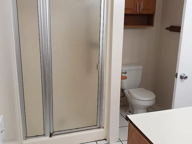BATHROOM 2 WITH SHOWER