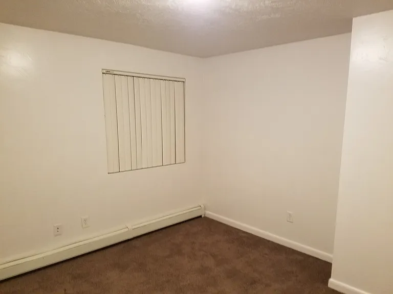 Willow Wood — Photo 10