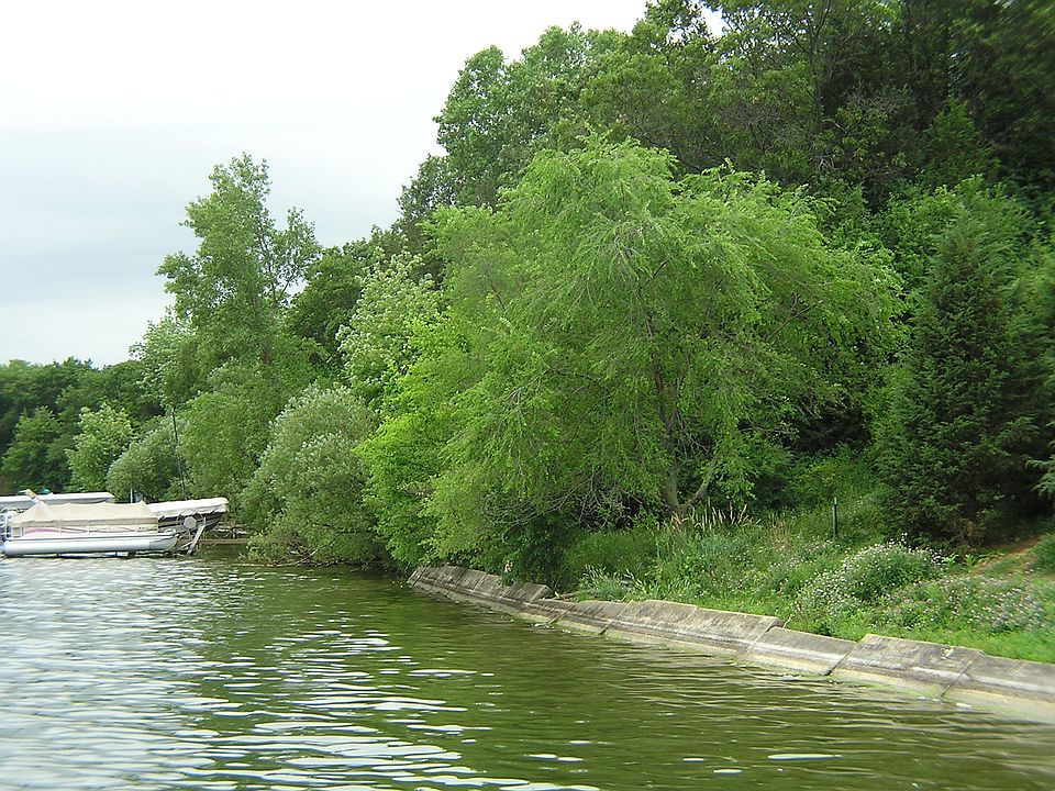 2nd image of Radtke Rd