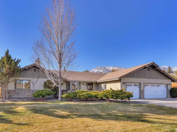 315 Old Washoe Cir, Washoe Valley, NV 89704