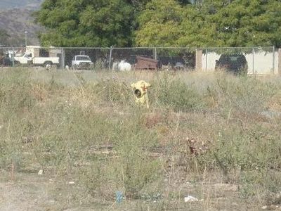0 Gray St, San Bernardino, CA, 92407