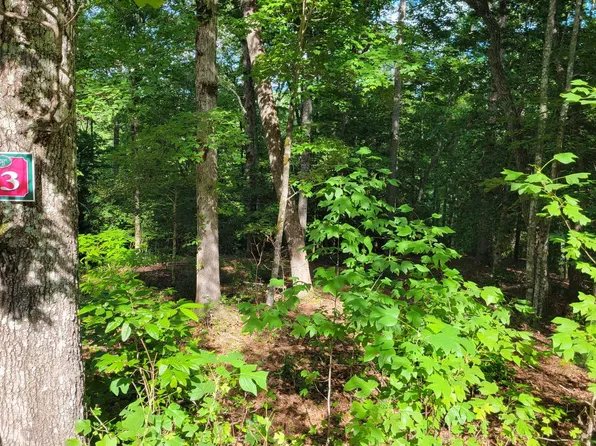 LOT 13 Brasstown Vw, Brasstown, NC 28902