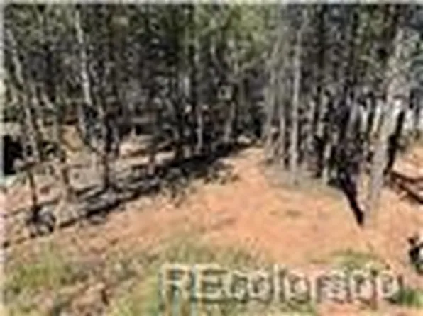 1394 Millstone Lane, Woodland Park, CO 80863