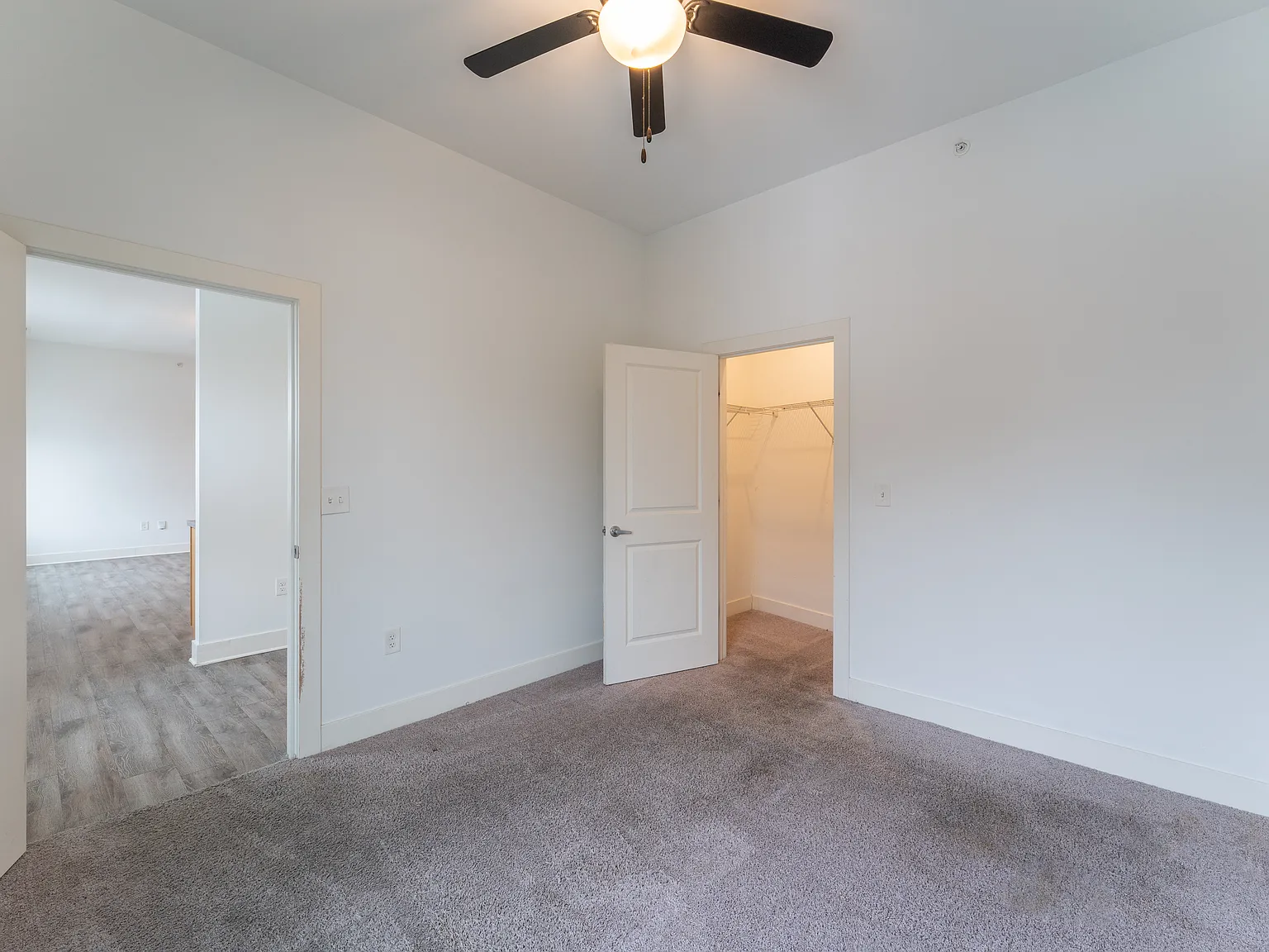 2 bed, 775 sqft, $1,200 — Photo 2