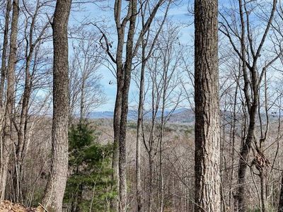 71 Chicory Dr W, Blairsville, GA, 30512