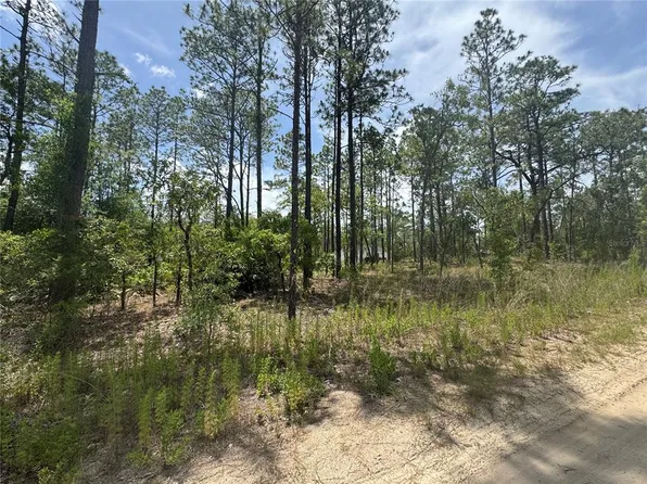 0 SW 157th Ave Lot 2, Ocala, FL 34481