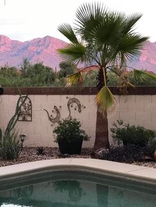 11378 N Silver Pheasant Loop, Oro Valley, AZ, 85737