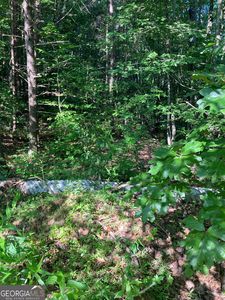 0 Grant Mill Rd, Alto, GA, 30510
