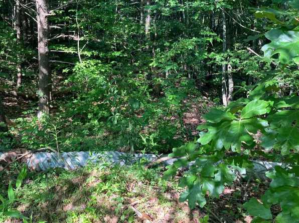 0 Grant Mill Rd, Alto, GA 30510