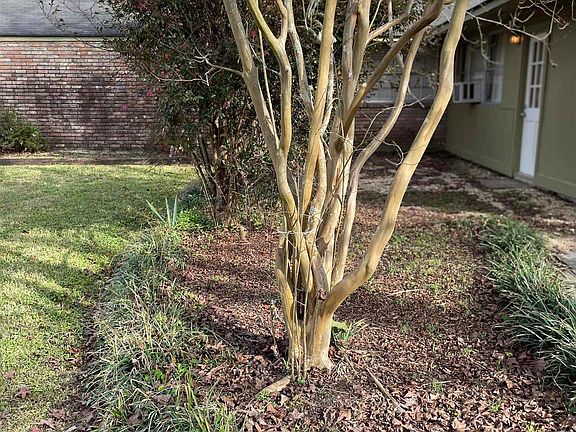 4th image of 4621 Little Farms Dr