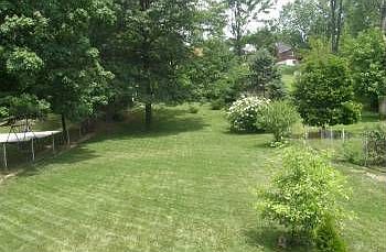 3rd image of 316 Forest Ave