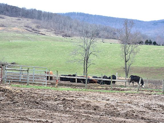 5th image of 8963 Duvall Valley Rd