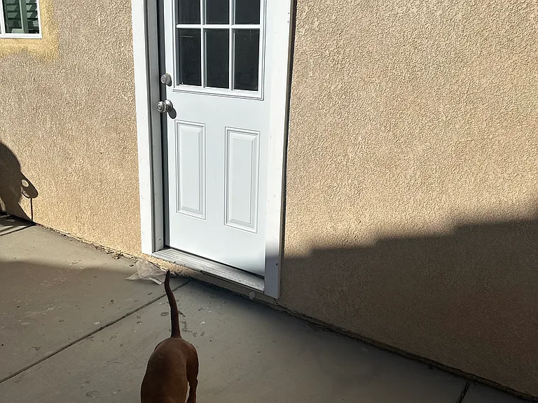 winer dog not included!
You have your private entrance and patio