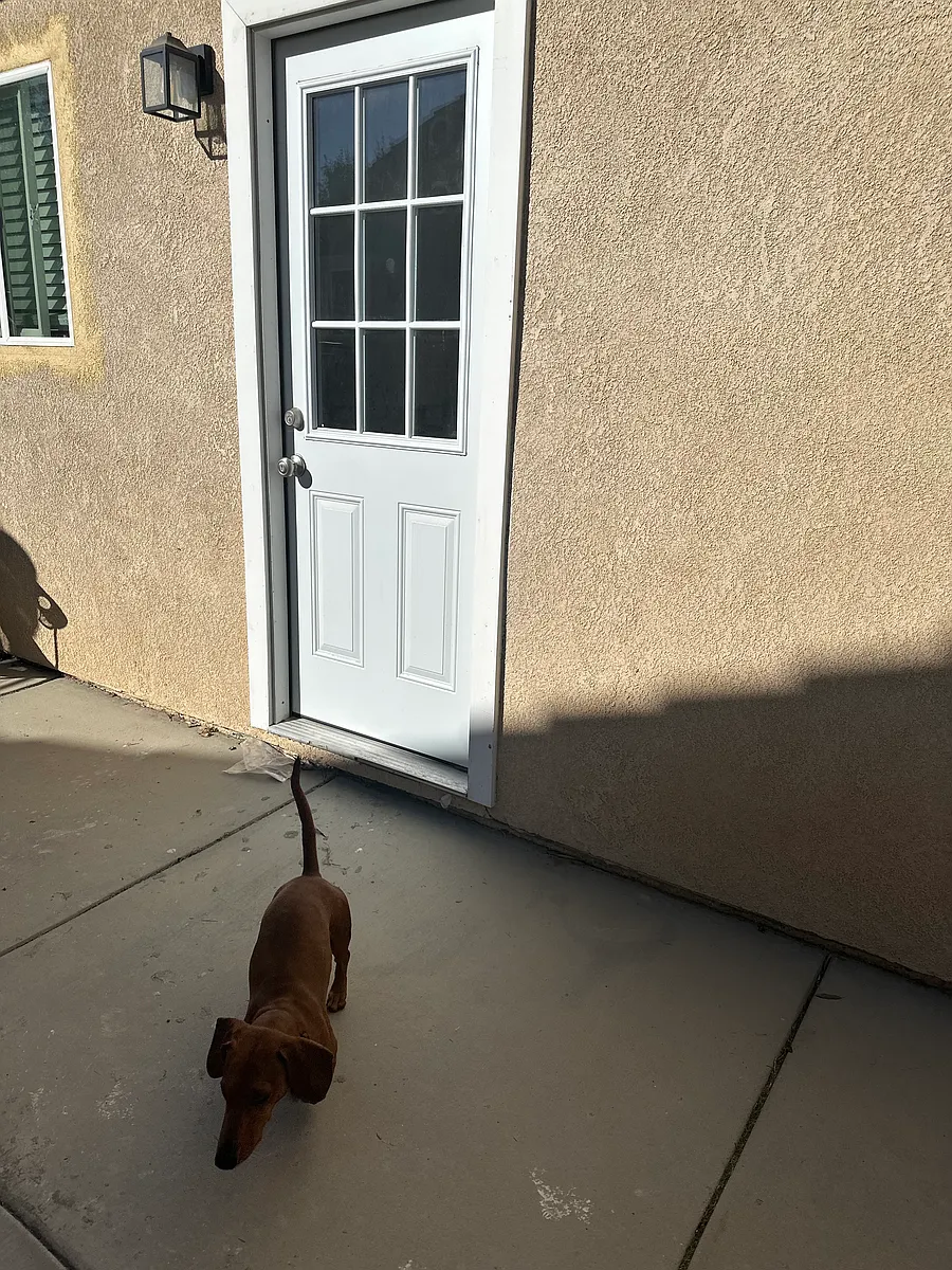 winer dog not included! - Saddleback Dr