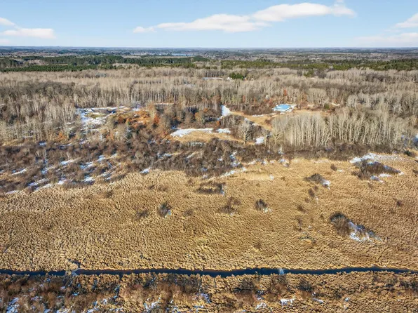 Coneflower Ln SW, Pine River, MN 56474